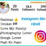 Instagram Bio In Hindi