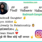Badmash Gangster Bio For Instagram