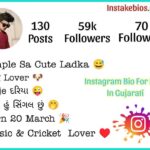 Instagram Bio For Boys In Gujarati