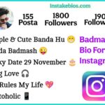 Badmashi Bio For Instagram 2025