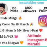 Attitude Instagram Bio In Marathi