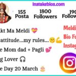 Meldi Ma Bio For Instagram
