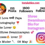 Shree Swaminarayan Bio For Instagram
