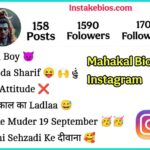 Mahakal Bio For Instagram