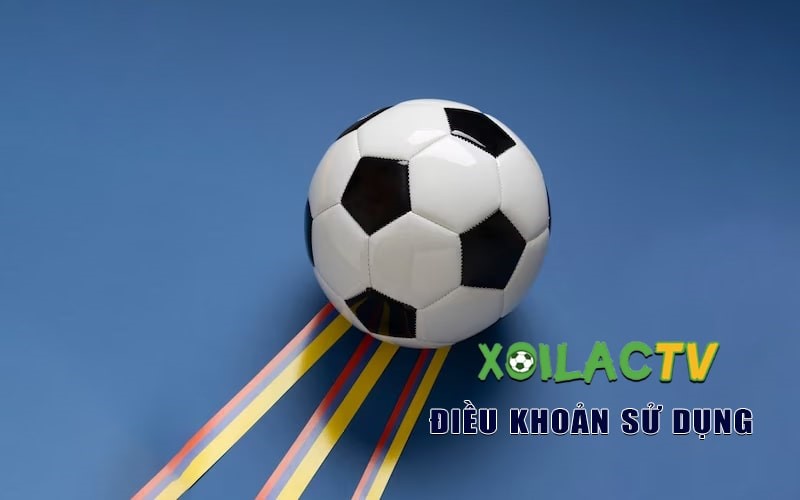 How Football Fans Engage During Live Matches on Xoilac