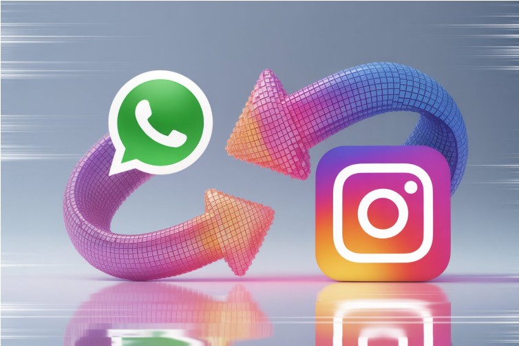 Share Instagram Bios on FM WhatsApp – 4 Simple Methods